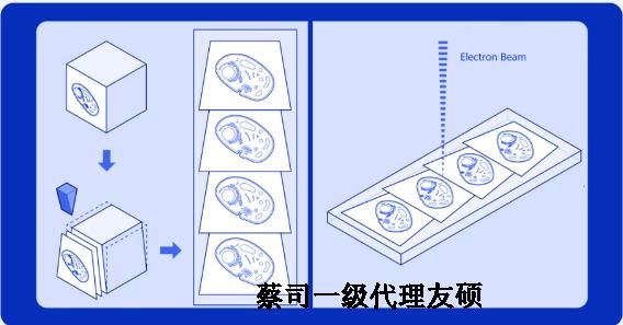 郑州蔡司郑州扫描电镜